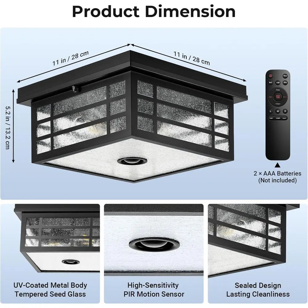 Motion Sensor Outdoor Ceiling Light with Remote Control, Black Porch Lighting with Seed Glass, Outside Mount Lights or Garage, E
