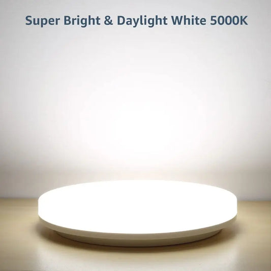 11 inch 24 watt Flush Mount LED Ceiling Light 2400 Lumen 200 watt Equivalent, Waterproof, Daylight White 5000 Kelvin Bright Ceil